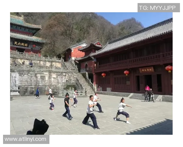 世界人士武当山问道太极